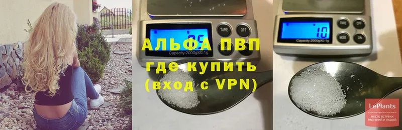 Alfa_PVP СК Грязи